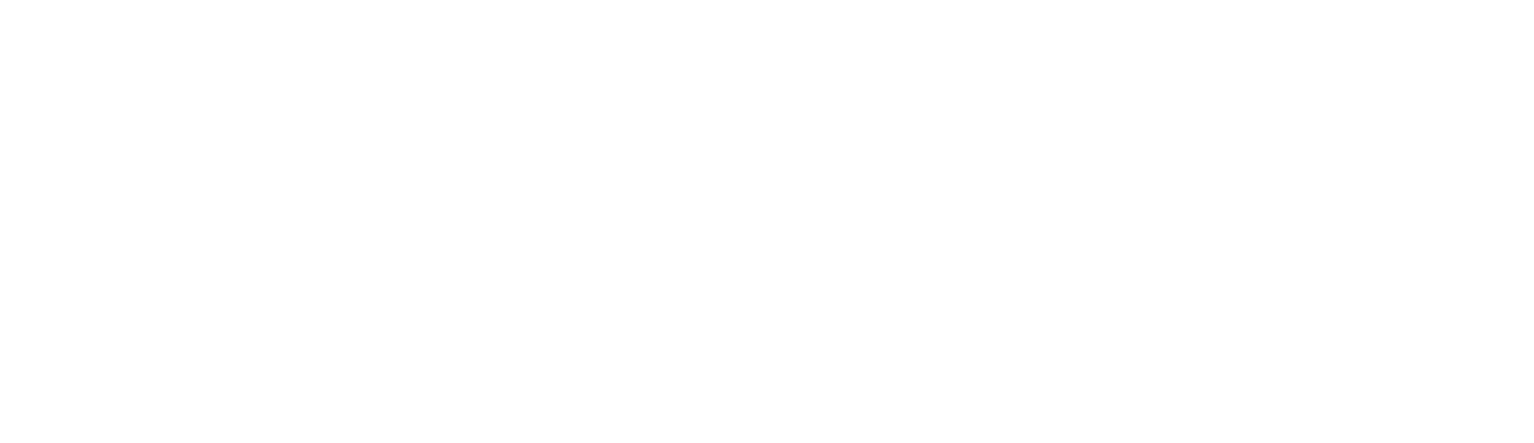 Promedica Plus