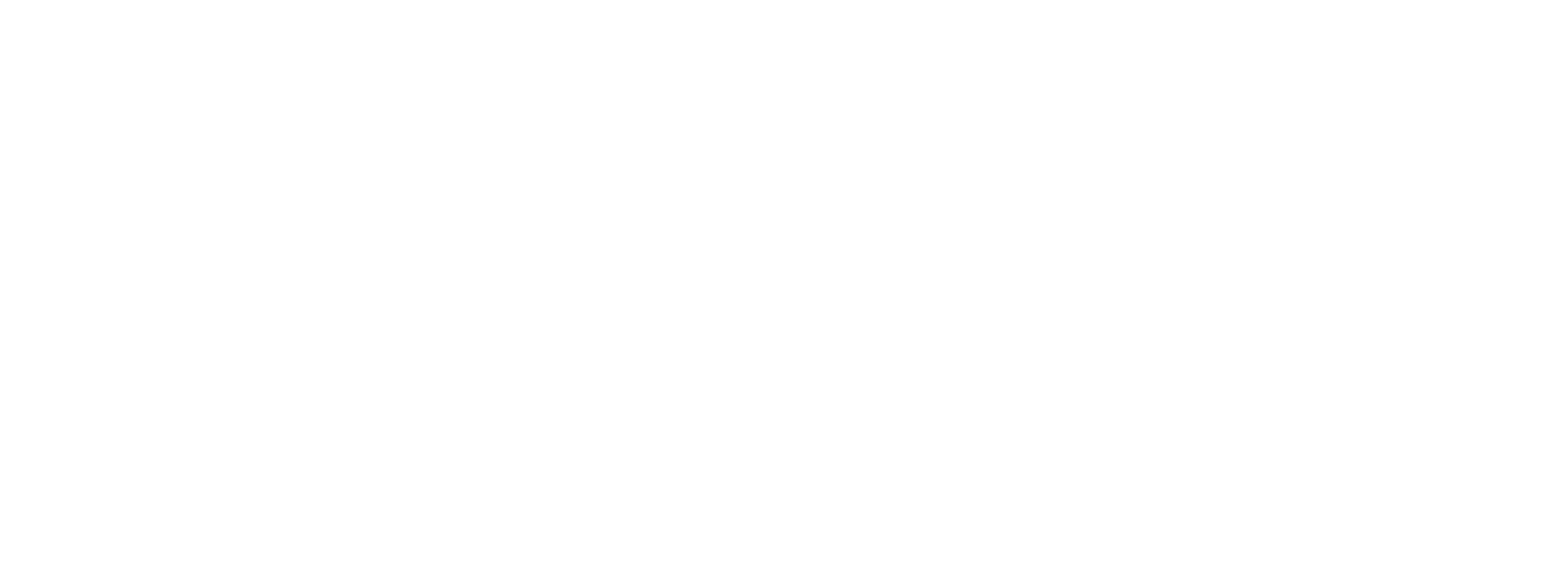 Promedica Plus